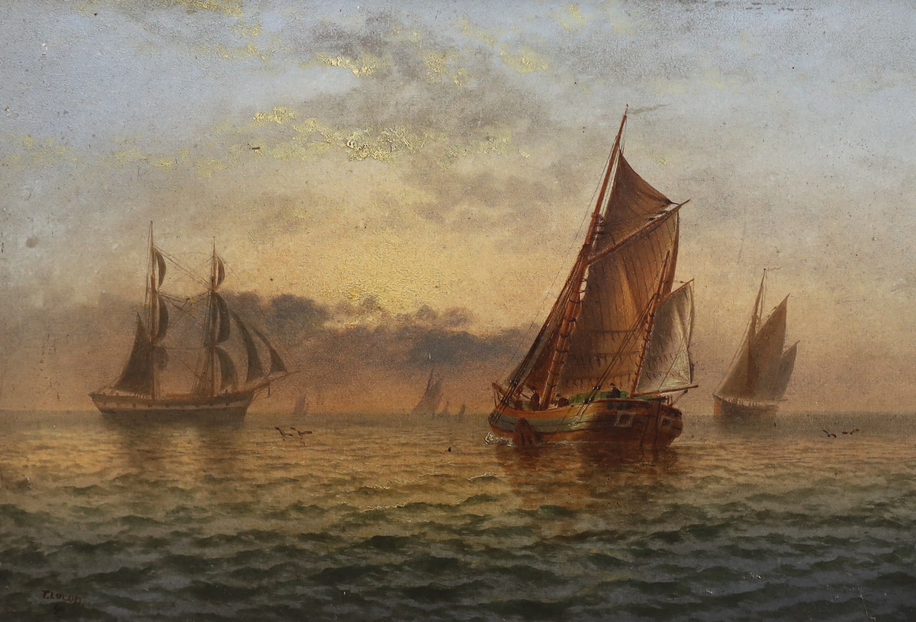 Thomas Lucop (British, 1834-1911), Shipping on a calm sea, oil on board, 29 x 43cm